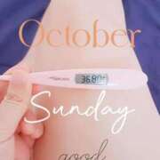 ヒメ日記 2025/11/02 06:48 投稿 るか 静岡駅前ちゃんこ