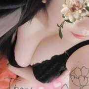 ヒメ日記 2025/11/07 23:33 投稿 るか 静岡駅前ちゃんこ