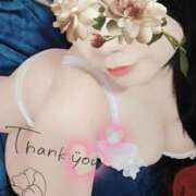 ヒメ日記 2025/11/10 02:08 投稿 るか 静岡駅前ちゃんこ