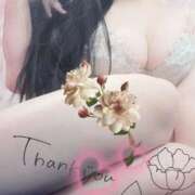 ヒメ日記 2025/11/19 17:38 投稿 るか 静岡駅前ちゃんこ