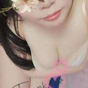 ヒメ日記 2025/11/21 01:28 投稿 るか 静岡駅前ちゃんこ