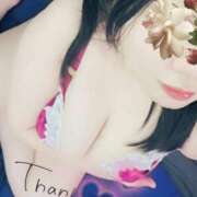 ヒメ日記 2025/11/23 02:58 投稿 るか 静岡駅前ちゃんこ