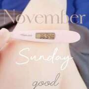 ヒメ日記 2025/11/23 06:38 投稿 るか 静岡駅前ちゃんこ