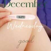 ヒメ日記 2025/12/24 06:38 投稿 るか 静岡駅前ちゃんこ