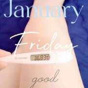 ヒメ日記 2026/01/23 06:38 投稿 るか 静岡駅前ちゃんこ