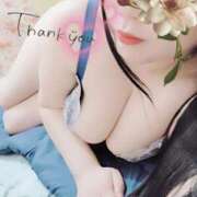 ヒメ日記 2026/02/06 03:11 投稿 るか 静岡駅前ちゃんこ