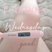 ヒメ日記 2026/02/11 06:38 投稿 るか 静岡駅前ちゃんこ