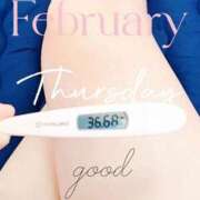 ヒメ日記 2026/02/12 06:38 投稿 るか 静岡駅前ちゃんこ