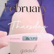 ヒメ日記 2026/02/26 06:38 投稿 るか 静岡駅前ちゃんこ