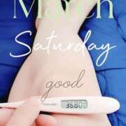 ヒメ日記 2026/03/07 06:38 投稿 るか 静岡駅前ちゃんこ