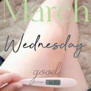 ヒメ日記 2026/03/11 06:48 投稿 るか 静岡駅前ちゃんこ