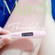 ヒメ日記 2026/03/12 06:38 投稿 るか 静岡駅前ちゃんこ