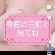 ヒメ日記 2026/04/21 22:28 投稿 るか 静岡駅前ちゃんこ