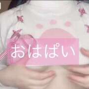 ヒメ日記 2025/04/11 06:19 投稿 甘味みかん ウルトラハピネス