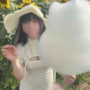 ヒメ日記 2025/08/15 14:19 投稿 甘味みかん ウルトラハピネス