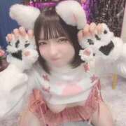 ヒメ日記 2025/08/23 16:01 投稿 甘味みかん ウルトラハピネス