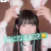 ヒメ日記 2025/09/25 14:49 投稿 甘味みかん ウルトラハピネス