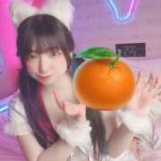 ヒメ日記 2025/10/06 14:29 投稿 甘味みかん ウルトラハピネス