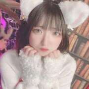 ヒメ日記 2025/11/16 11:19 投稿 甘味みかん ウルトラハピネス