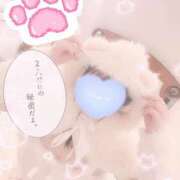 ヒメ日記 2025/11/24 01:29 投稿 甘味みかん ウルトラハピネス