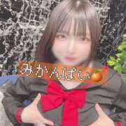 ヒメ日記 2025/12/29 11:49 投稿 甘味みかん ウルトラハピネス