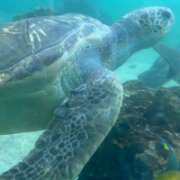 ヒメ日記 2025/03/18 20:57 投稿 ふうか 町田人妻城