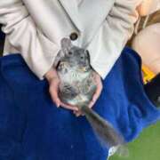 ヒメ日記 2025/01/23 00:14 投稿 みふゆ フィエスタ