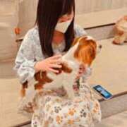 ヒメ日記 2025/01/25 10:02 投稿 みふゆ フィエスタ