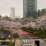 ヒメ日記 2025/04/06 01:01 投稿 白星うた Mrs. Dandy shinagawa