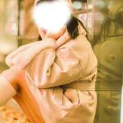 ヒメ日記 2024/12/28 01:01 投稿 成宮ゆあ 華椿