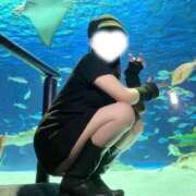 ヒメ日記 2025/01/19 14:16 投稿 成宮ゆあ 華椿