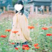 ヒメ日記 2025/12/06 01:46 投稿 成宮ゆあ 華椿