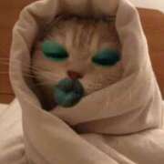 ヒメ日記 2025/03/03 05:33 投稿 べに マイクロビキニSPA TOKYO新宿