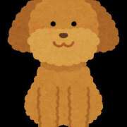 ヒメ日記 2025/01/19 09:30 投稿 羽奈（うな） NOA（ノア）