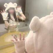 ヒメ日記 2025/04/13 11:32 投稿 羽奈（うな） NOA（ノア）