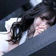 ヒメ日記 2025/04/16 12:33 投稿 羽奈（うな） NOA（ノア）