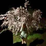 ヒメ日記 2025/04/19 12:16 投稿 羽奈（うな） NOA（ノア）