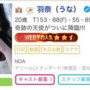 ヒメ日記 2025/04/28 19:49 投稿 羽奈（うな） NOA（ノア）