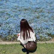 ヒメ日記 2025/06/06 19:14 投稿 羽奈（うな） NOA（ノア）