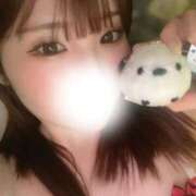 ヒメ日記 2025/07/19 14:08 投稿 羽奈（うな） NOA（ノア）