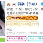 ヒメ日記 2025/07/31 21:01 投稿 羽奈（うな） NOA（ノア）