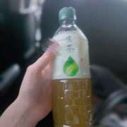 ヒメ日記 2025/08/03 19:50 投稿 羽奈（うな） NOA（ノア）