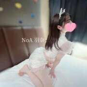 ヒメ日記 2025/08/15 20:09 投稿 羽奈（うな） NOA（ノア）