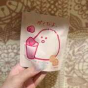 ヒメ日記 2025/08/19 16:27 投稿 羽奈（うな） NOA（ノア）