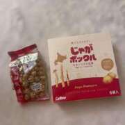 ヒメ日記 2025/08/21 13:03 投稿 羽奈（うな） NOA（ノア）