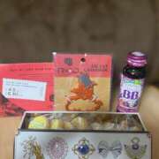 ヒメ日記 2025/08/24 11:05 投稿 羽奈（うな） NOA（ノア）