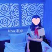 ヒメ日記 2025/10/11 10:07 投稿 羽奈（うな） NOA（ノア）