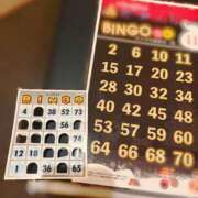 ヒメ日記 2025/11/19 12:05 投稿 羽奈（うな） NOA（ノア）