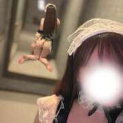 ヒメ日記 2025/11/28 19:00 投稿 羽奈（うな） NOA（ノア）