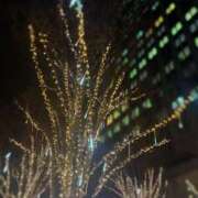 ヒメ日記 2025/12/06 10:03 投稿 羽奈（うな） NOA（ノア）